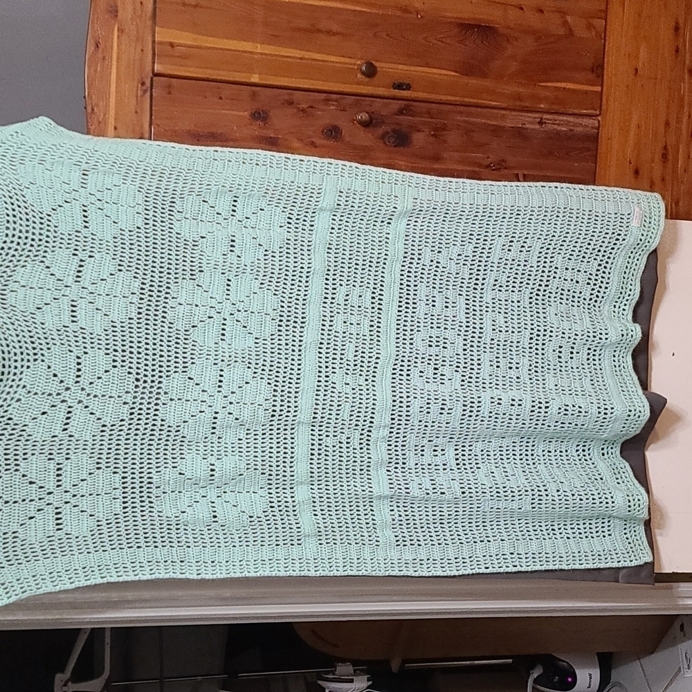 Handmade Crocheted Baby Afghan Mint Green Flowers Beautiful Condition 43x43 READ